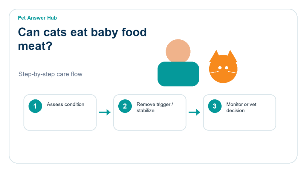 can cats eat baby food meat cat food safety action flow