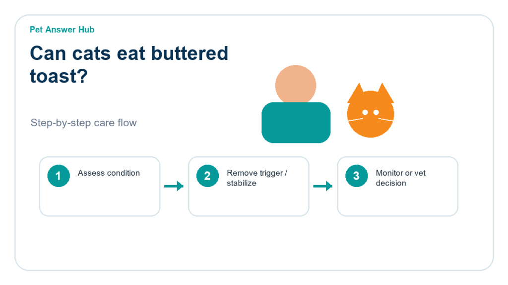 can cats eat buttered toast cat food safety action flow