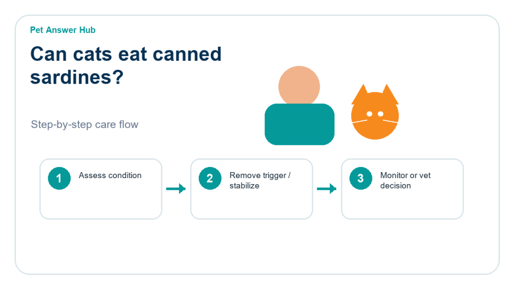 can cats eat canned sardines cat food safety action flow