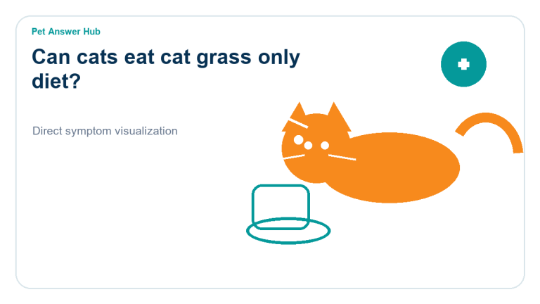 can cats eat cat grass only diet cat food safety visual