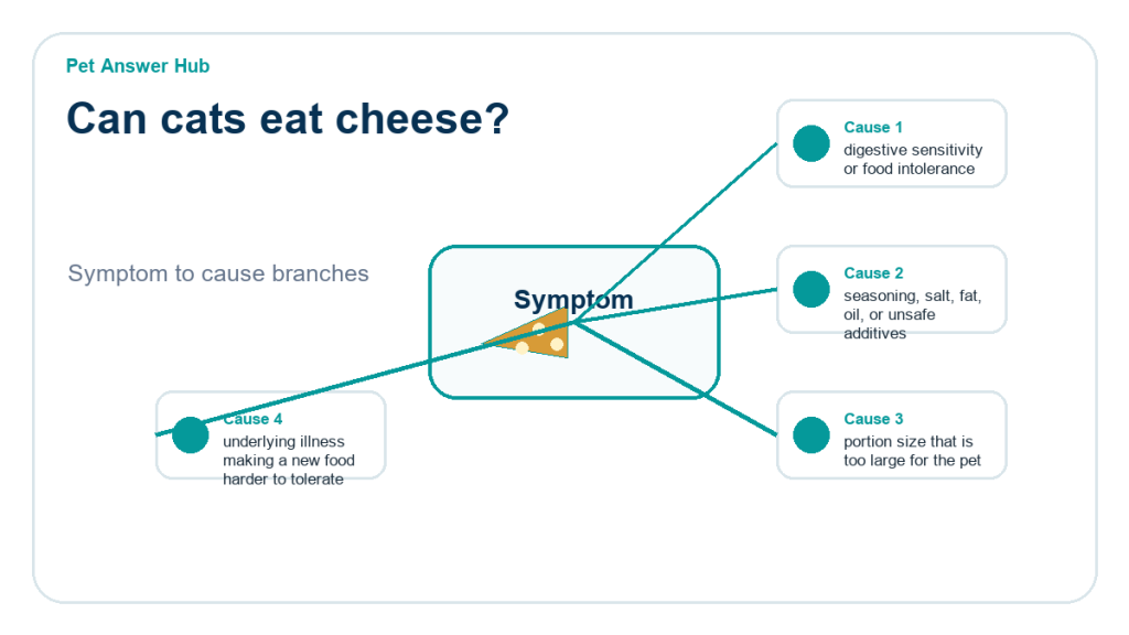 can cats eat cheese diagnostic cause diagram