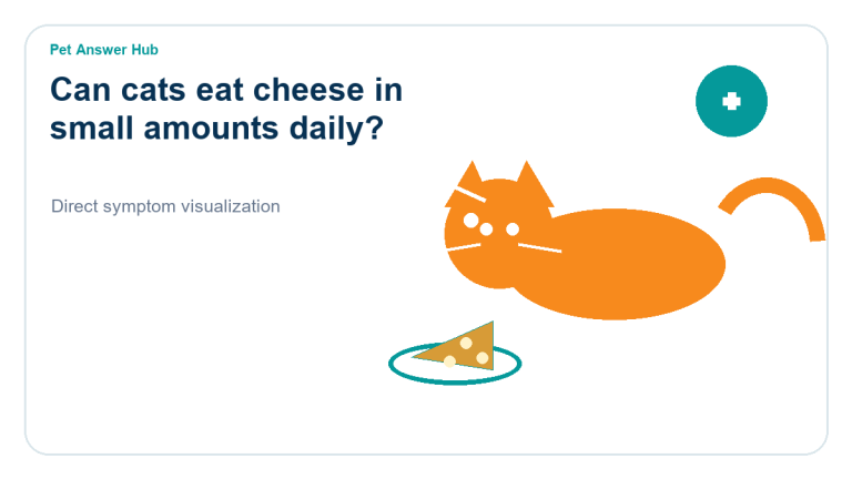 can cats eat cheese in small amounts daily cat food safety visual