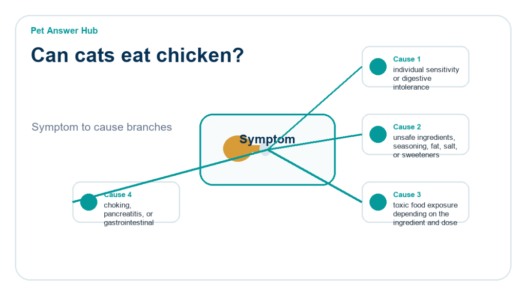 can cats eat chicken cause diagram