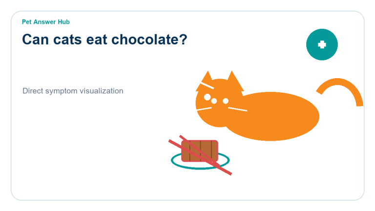 can cats eat chocolate symptom state visual