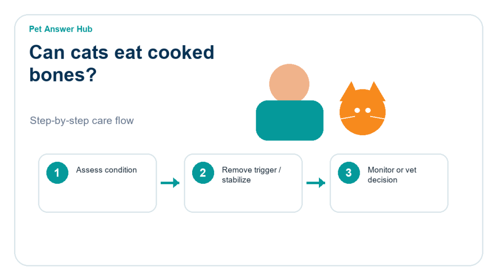 can cats eat cooked bones cat food safety action flow