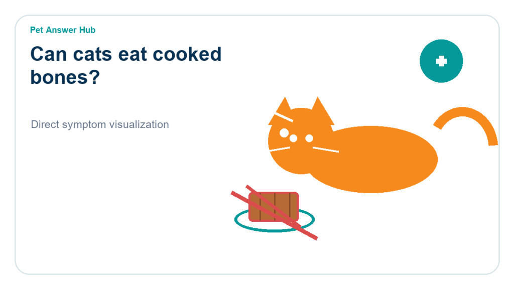 can cats eat cooked bones cat food safety visual