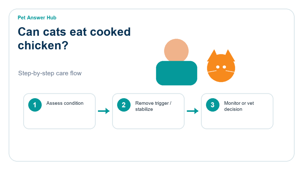 can cats eat cooked chicken triage action flow