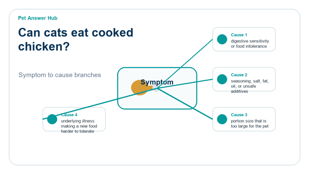 can cats eat cooked chicken diagnostic cause diagram