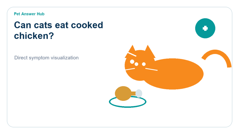 can cats eat cooked chicken symptom state visual