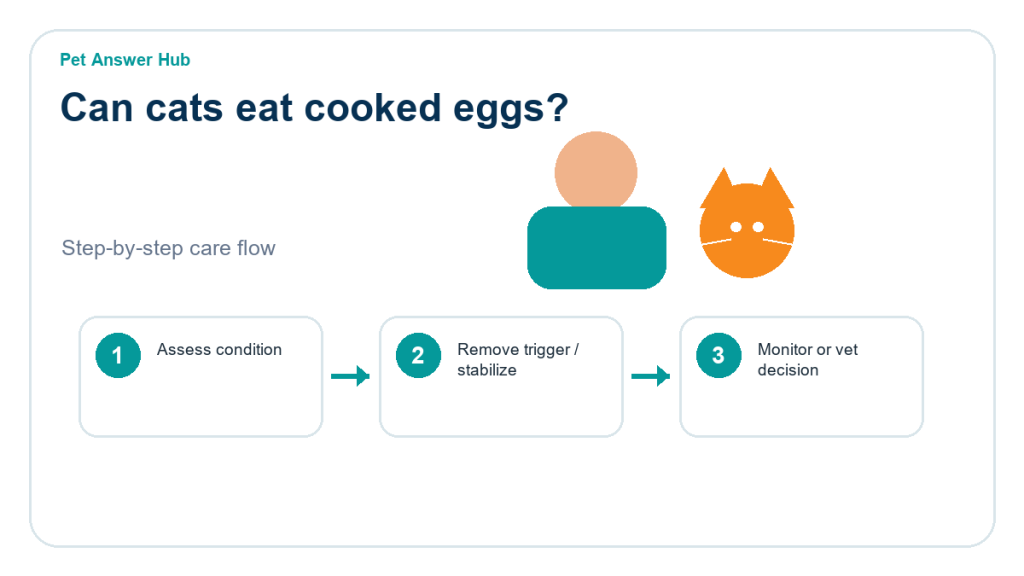 can cats eat cooked eggs triage action flow