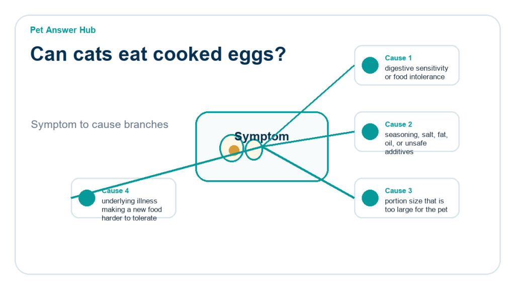 can cats eat cooked eggs diagnostic cause diagram