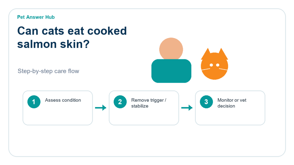 can cats eat cooked salmon skin cat food safety action flow