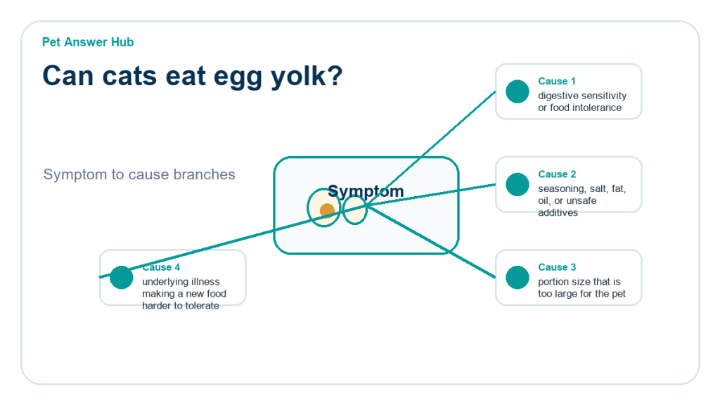 can cats eat egg yolk diagnostic cause diagram