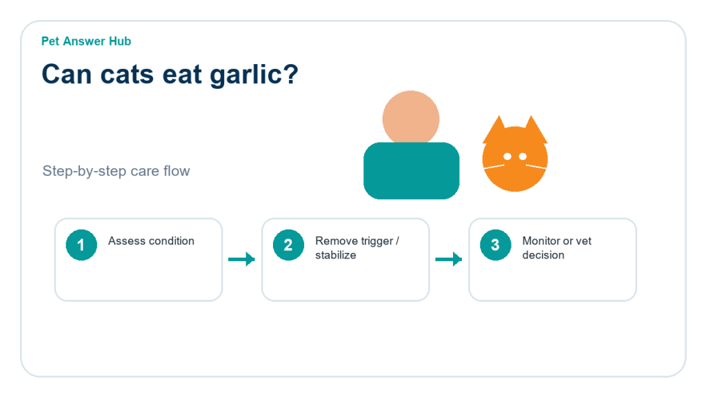 can cats eat garlic cat food safety action flow