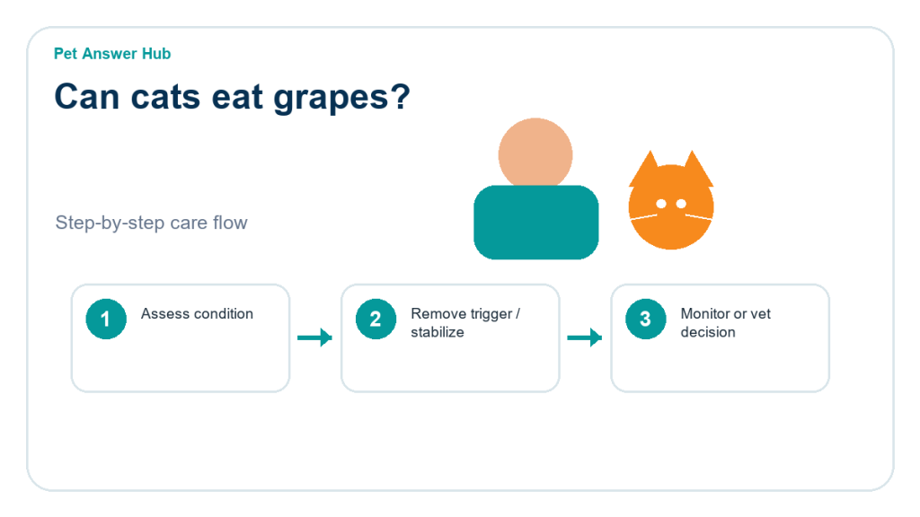 can cats eat grapes cat food safety action flow