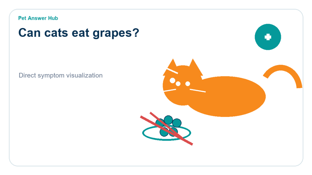 can cats eat grapes cat food safety visual