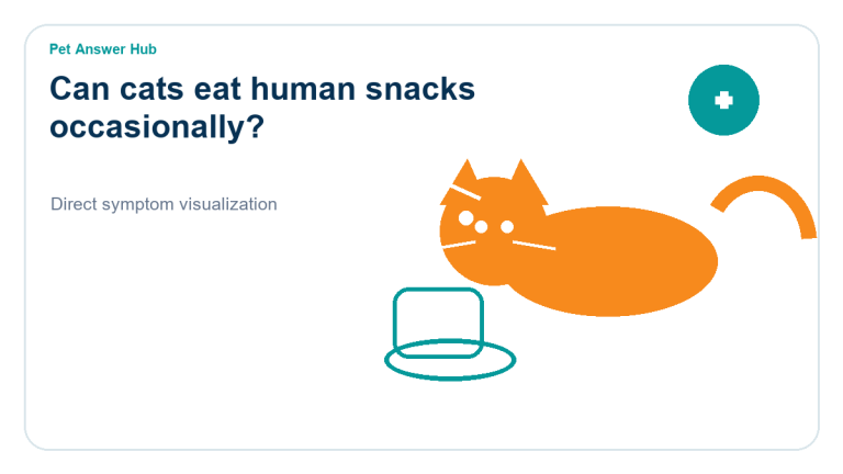 can cats eat human snacks occasionally cat food safety visual