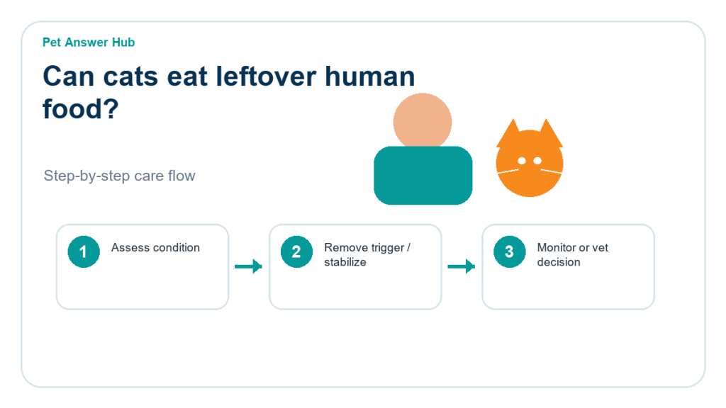 can cats eat leftover human food cat food safety action flow