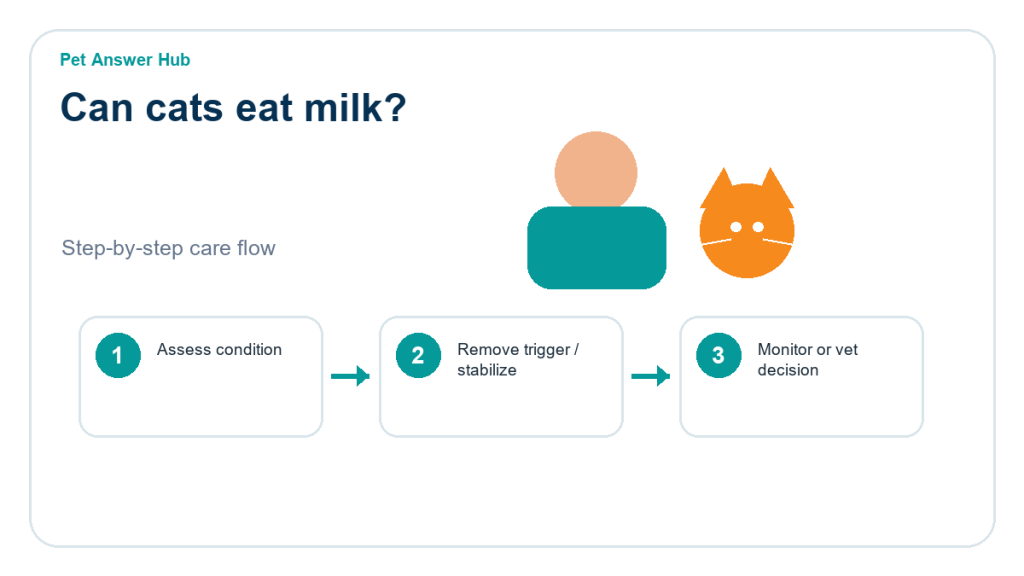 can cats eat milk triage action flow
