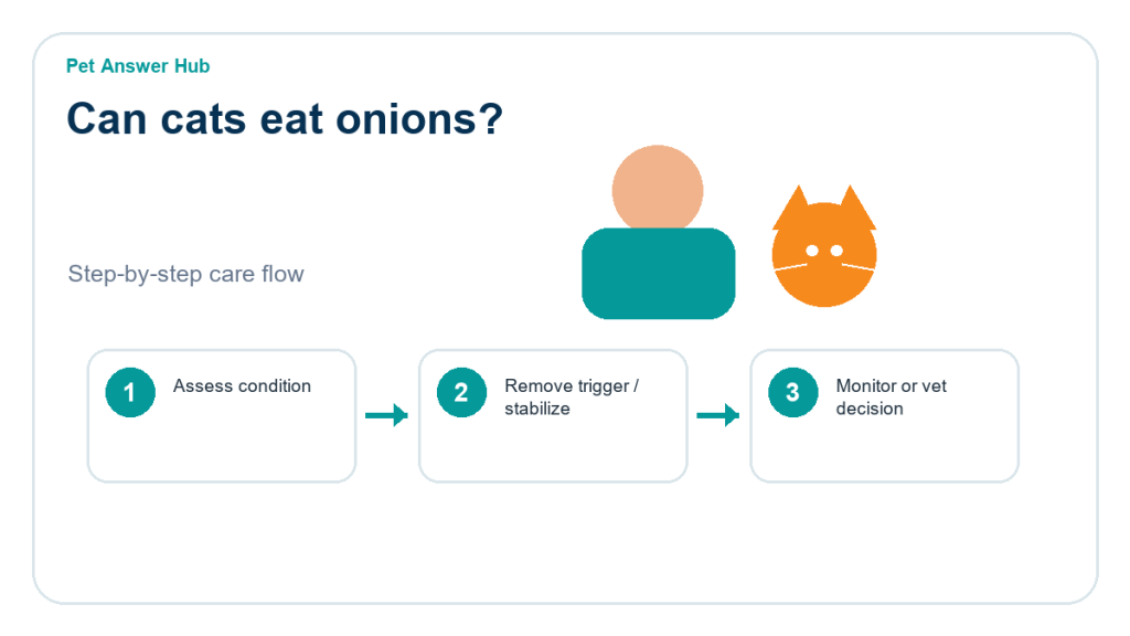 can cats eat onions cat food safety action flow