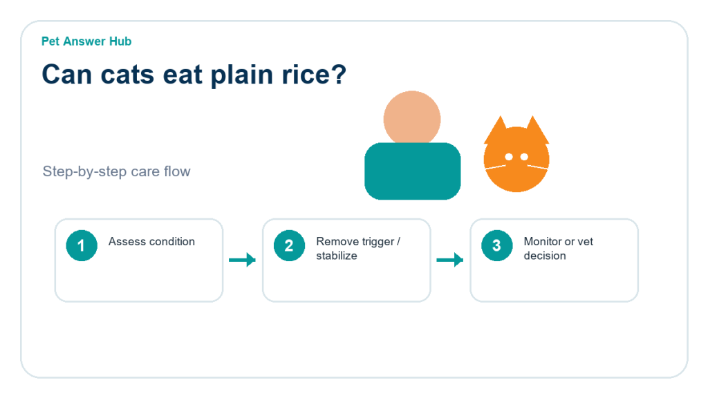 can cats eat plain rice triage action flow