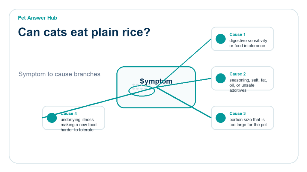can cats eat plain rice diagnostic cause diagram