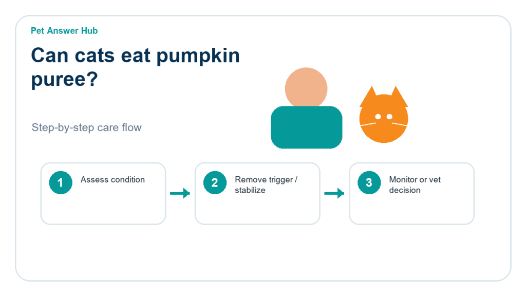 can cats eat pumpkin puree cat food safety action flow