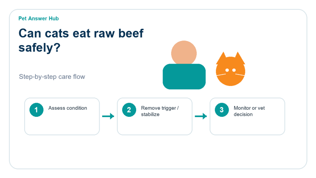can cats eat raw beef safely cat food safety action flow