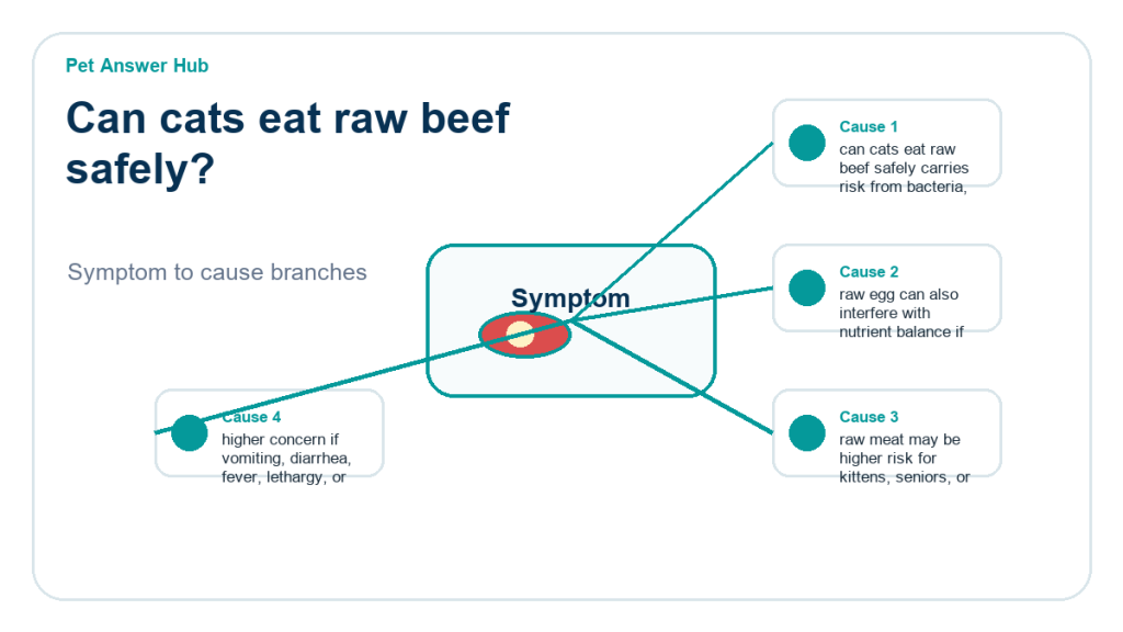 can cats eat raw beef safely food safety risk diagram