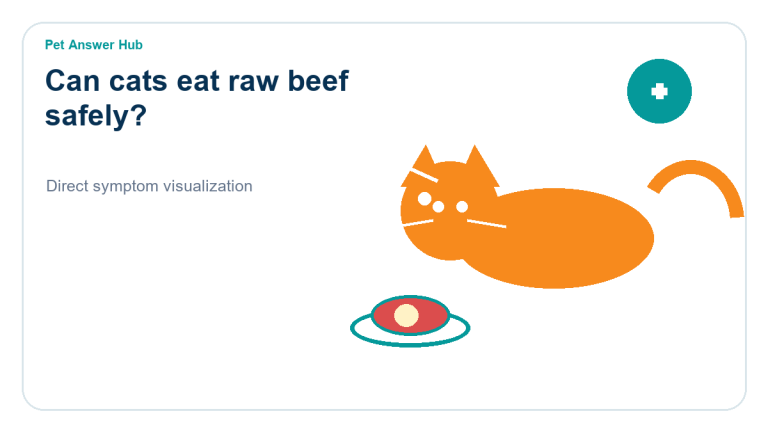 can cats eat raw beef safely cat food safety visual