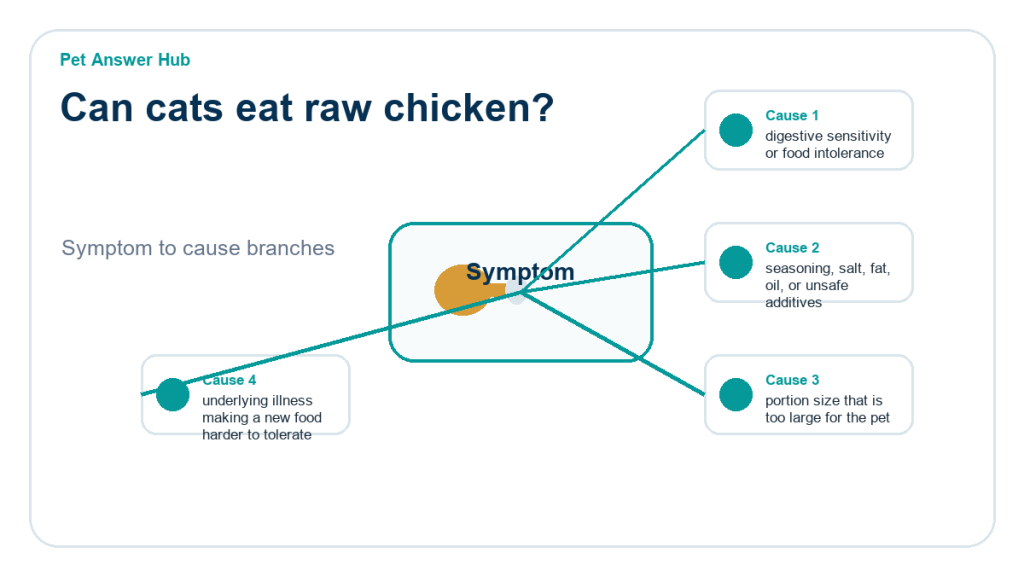 can cats eat raw chicken diagnostic cause diagram