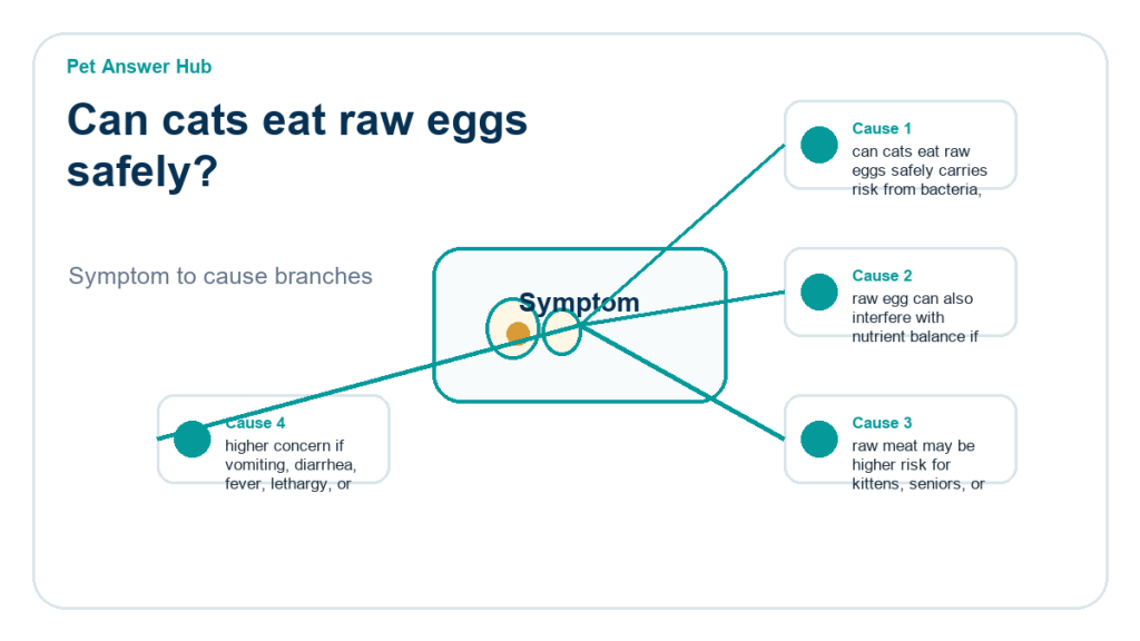 can cats eat raw eggs safely food safety risk diagram