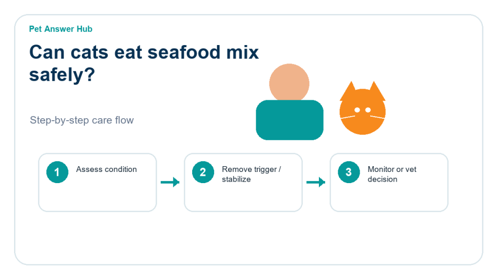 can cats eat seafood mix safely cat food safety action flow