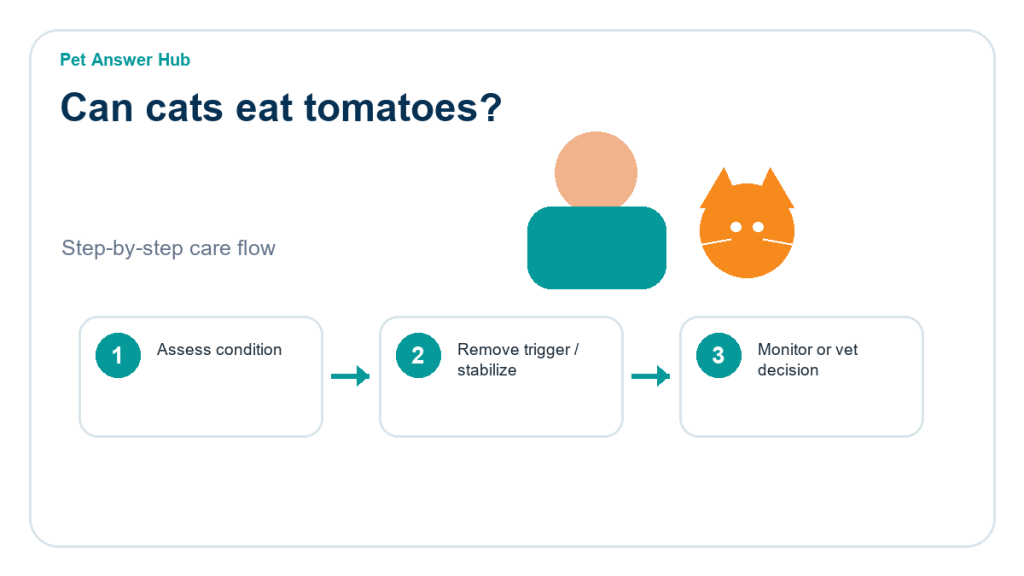 can cats eat tomatoes cat food safety action flow
