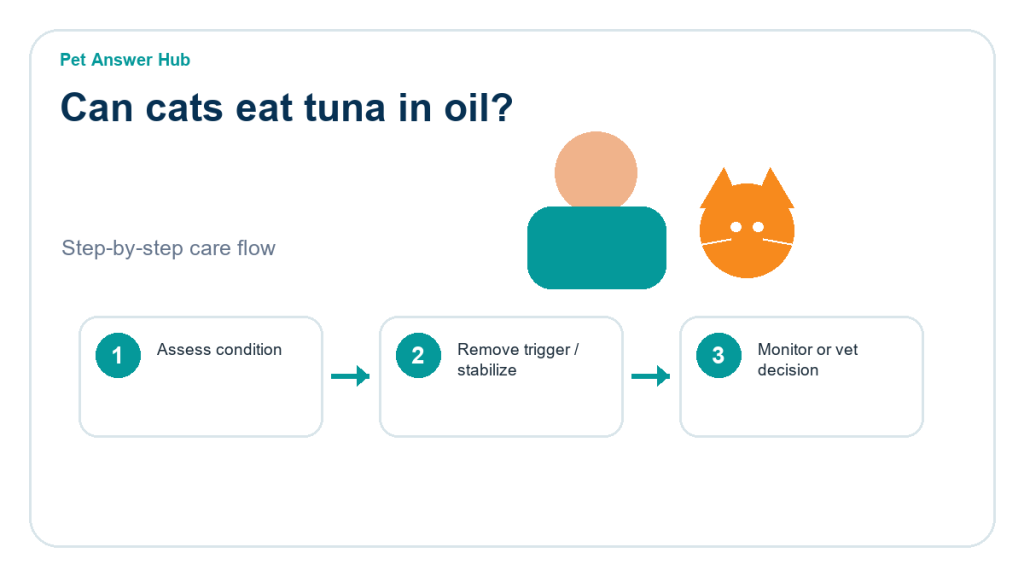 can cats eat tuna in oil cat food safety action flow