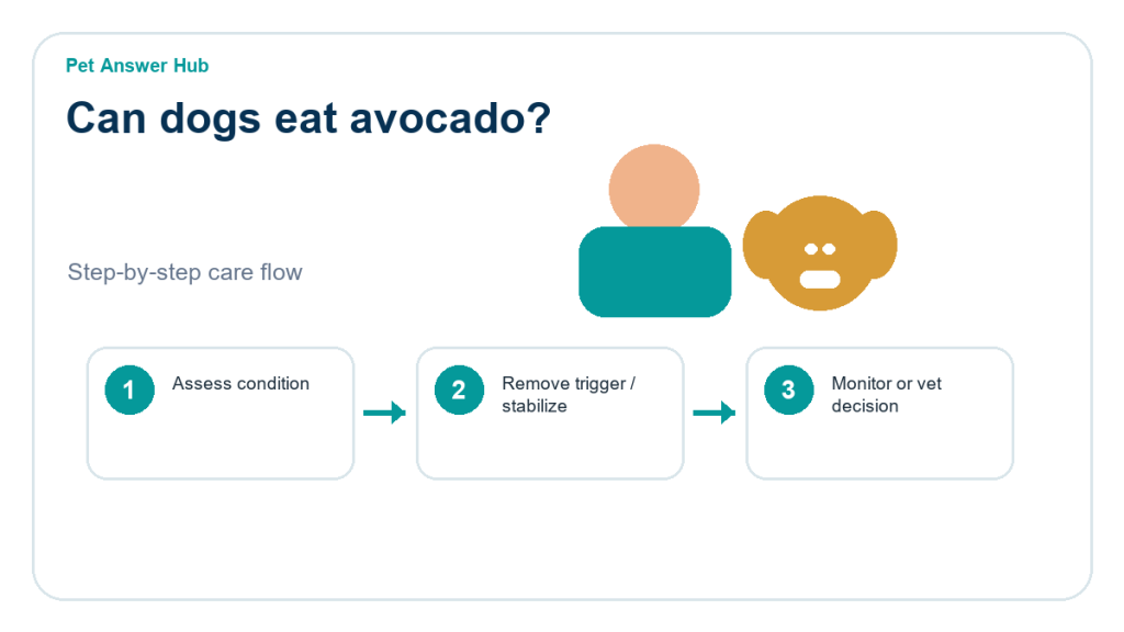 can dogs eat avocado dog food safety action flow