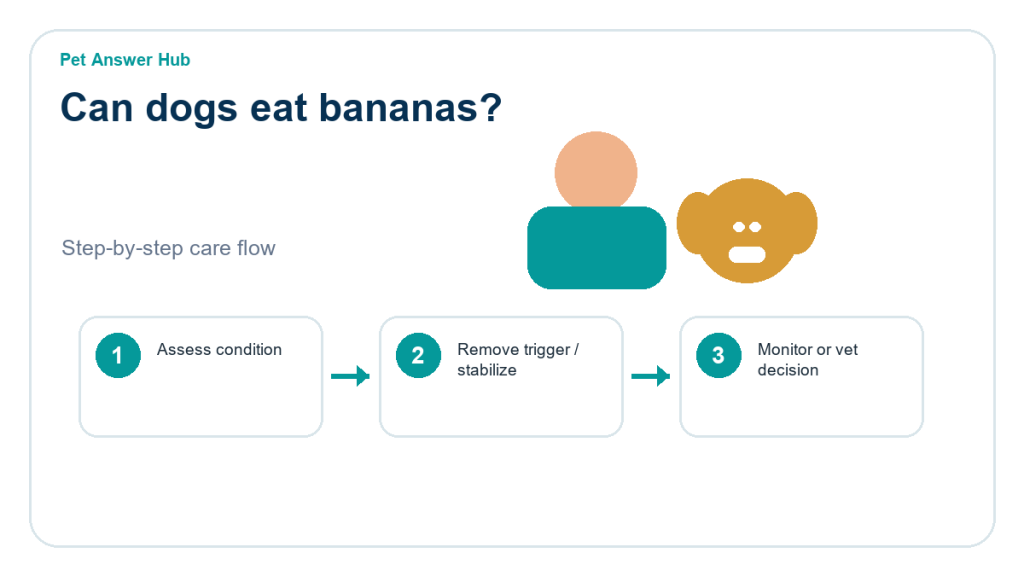 can dogs eat bananas dog food safety action flow