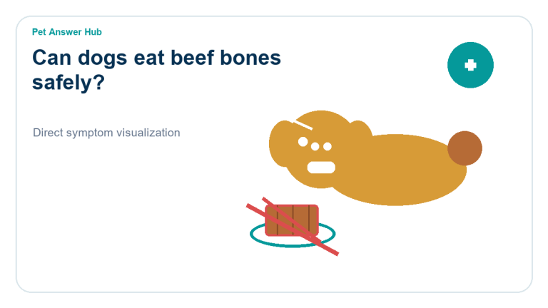 can dogs eat beef bones safely dog food safety visual