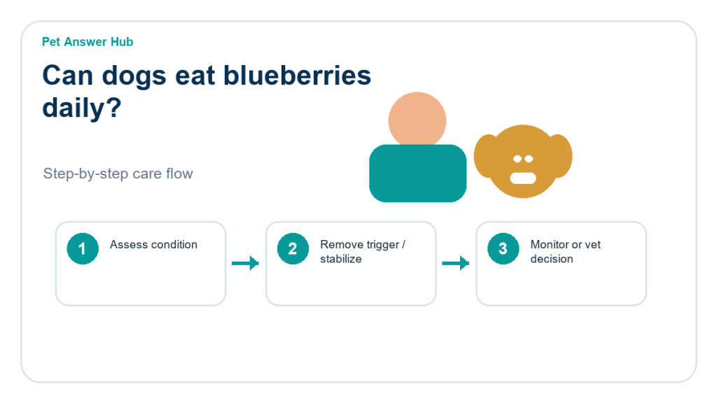 can dogs eat blueberries daily dog food safety action flow