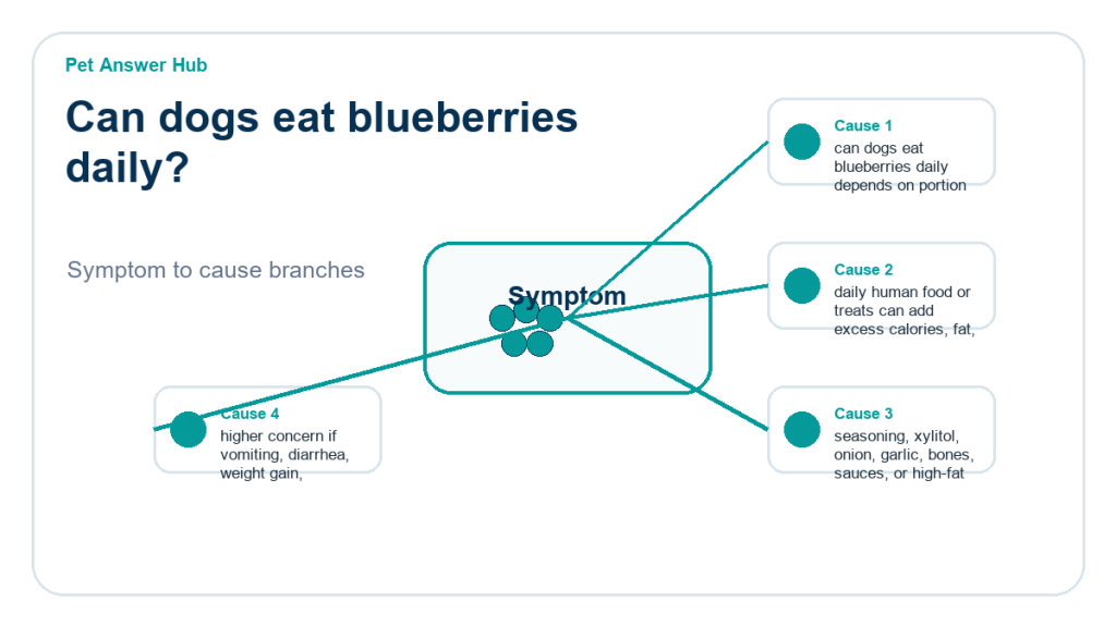 can dogs eat blueberries daily food safety risk diagram