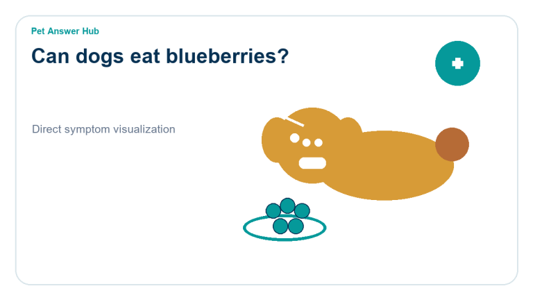 can dogs eat blueberries dog food safety visual
