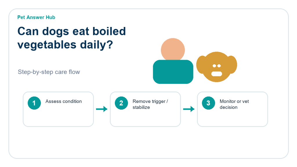 can dogs eat boiled vegetables daily dog food safety action flow