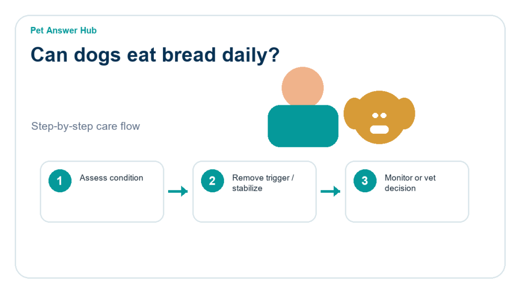 can dogs eat bread daily dog food safety action flow