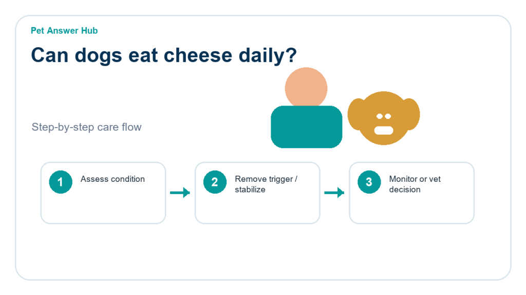 can dogs eat cheese daily dog food safety action flow