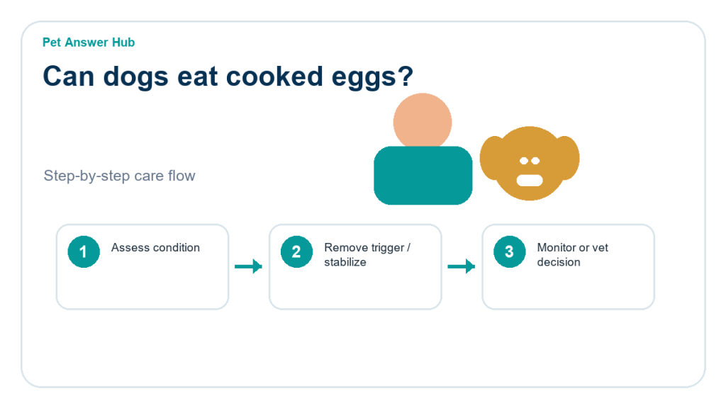 can dogs eat cooked eggs dog food safety action flow