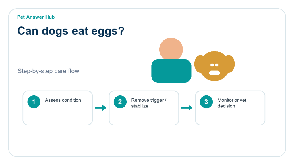 can dogs eat eggs dog food safety action flow