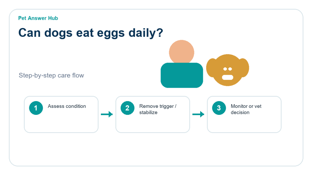 can dogs eat eggs daily dog food safety action flow