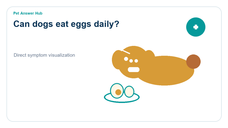 can dogs eat eggs daily dog food safety visual