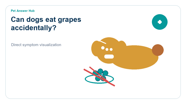 can dogs eat grapes accidentally dog food safety visual