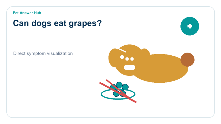 can dogs eat grapes dog food safety visual